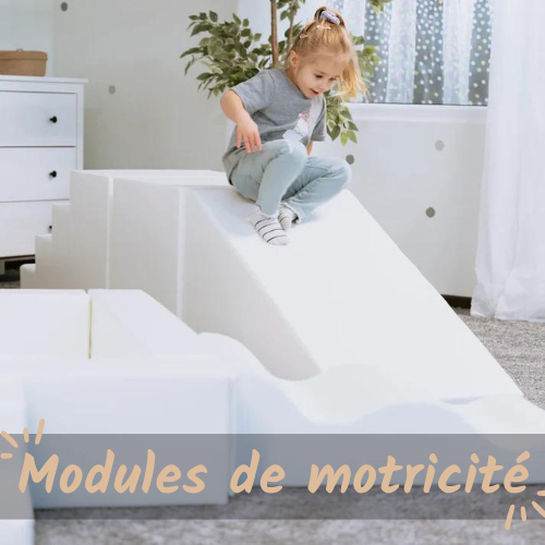 Modules de motricité